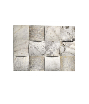 B-51 (10x10 silver balıksırtı)
