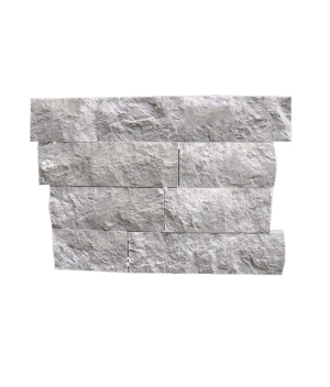 B-65 (7xbs silver patlatma)