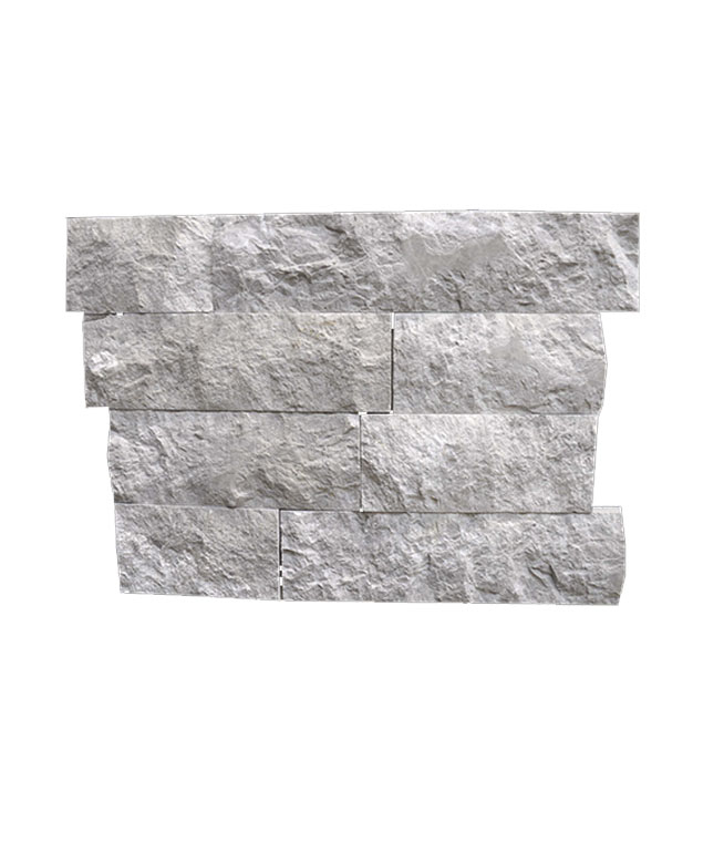 B-65 (7xbs silver patlatma)